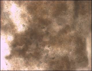 wynx10-2014-2-28(3